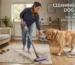 How to Keep Your Home Clean When You Have a Dog