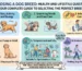 Choosing a Dog Breed Health and Lifestyle Questions to Ask Before Buying