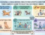 Choosing a Dog Breed Health and Lifestyle Questions to Ask Before Buying