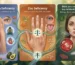Signs Your Body May Be Lacking Essential Minerals
